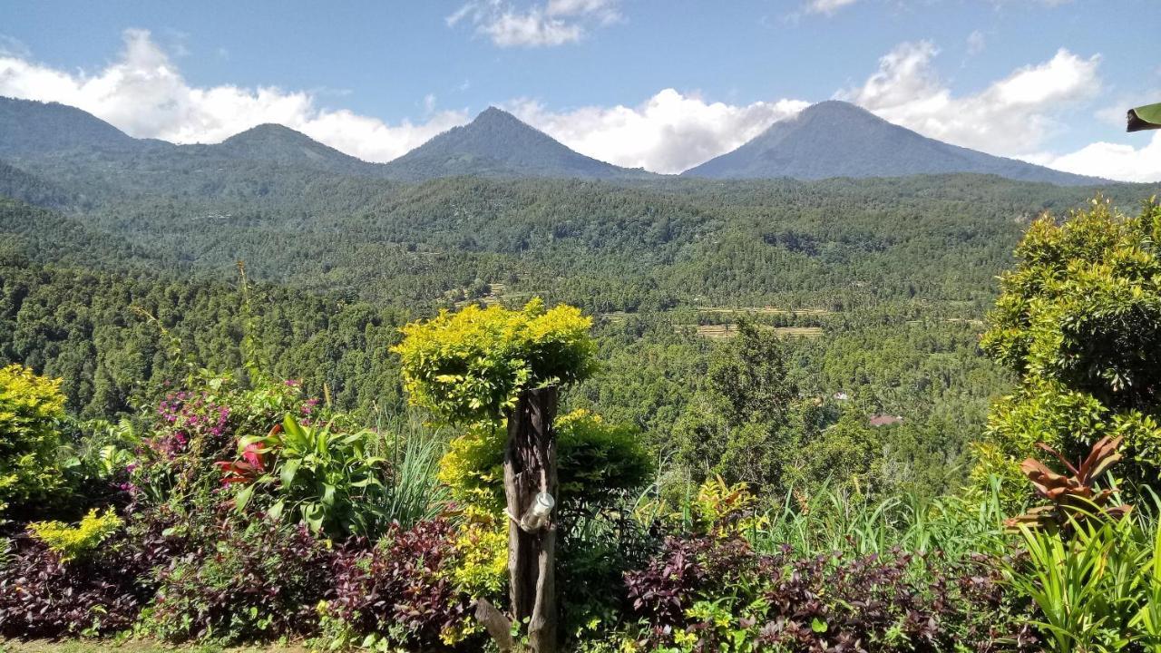 Made Oka Homestay And Warung Munduk Eksteriør bilde