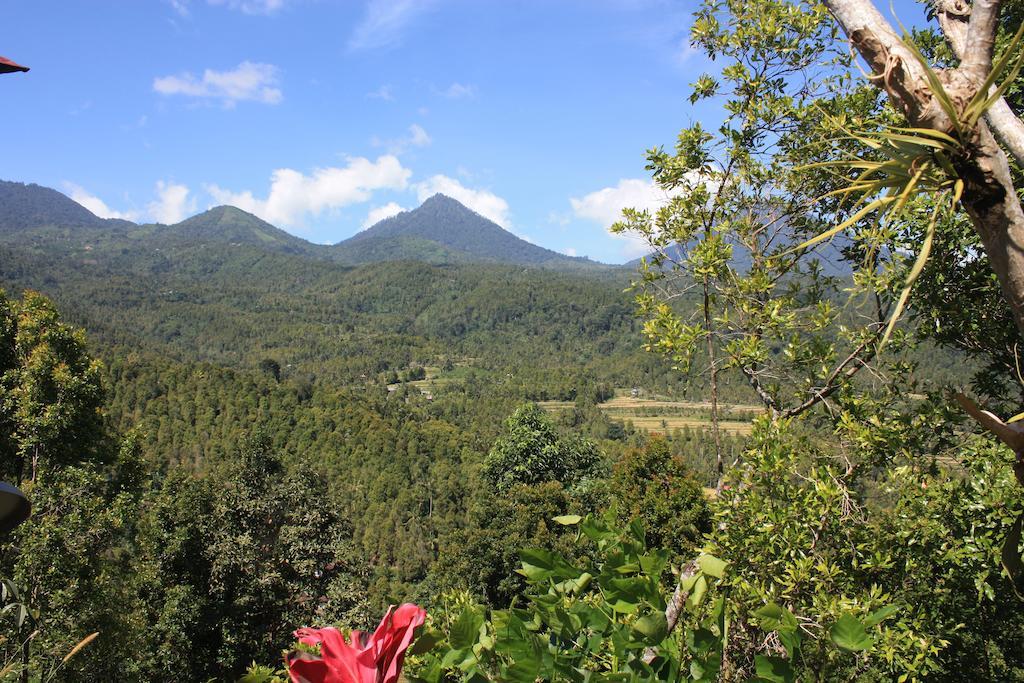 Made Oka Homestay And Warung Munduk Eksteriør bilde